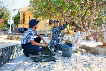 Miền cổ tích giữa điệp trùng xanh trên đảo Trường Sa