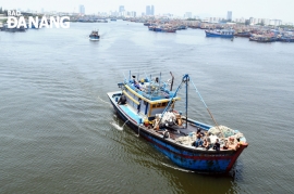 Cần sớm có cơ chế hỗ trợ cho các tàu cá gặp nạn trên biển