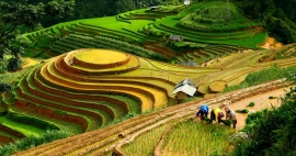 Ruộng bậc thang Mù Cang Chải lung linh mùa đổ nước