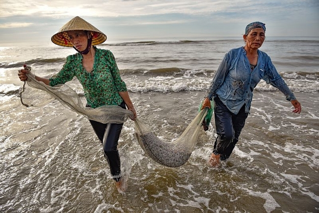 Mùa cào dắt biển Mùa cào dắt biển