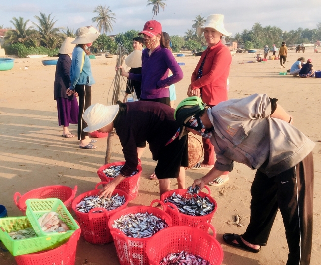 Buổi sáng yên bình trong mùa biển êm