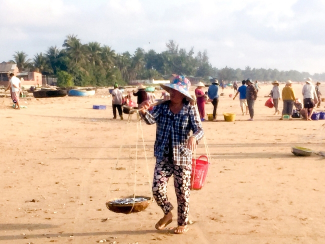 Buổi sáng yên bình trong mùa biển êm