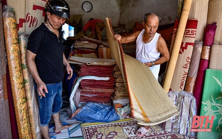 Nông dân Thanh Hóa chong đèn thu hoạch cói để tránh nóng nong dan thanh hoa chong den thu hoach coi de tranh nong
