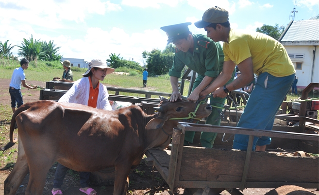 Nghĩa tình quân dân trên biên giới Tây Nguyên