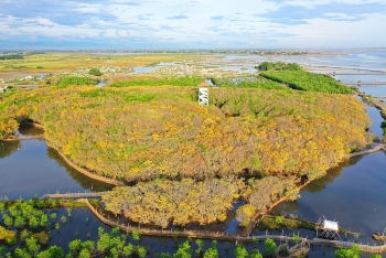Trù phú đầm phá Tam Giang - Cầu Hai
