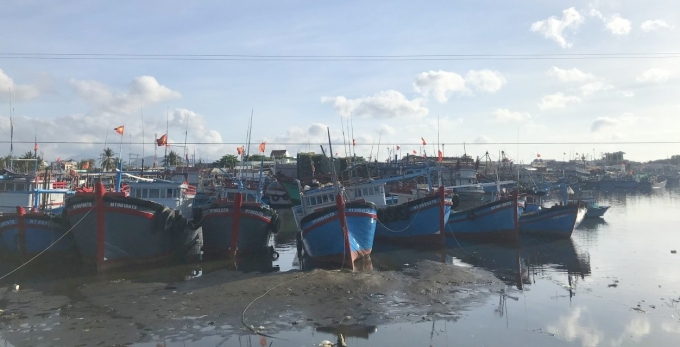 Ninh Thuận đang quyết liệt triển khai các giải pháp nhằm góp phần gỡ thẻ vàng của EC. Ảnh: MH.