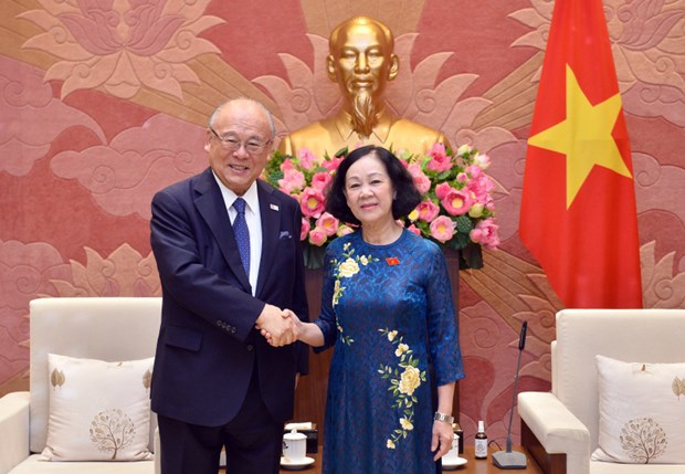 Thuc day hop tac giao luu nghi sy huu nghi Viet Nam-Nhat Ban hinh anh 1