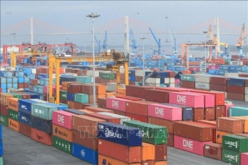 Khuyến cáo doanh nghiệp nắm thông tin sớm để tránh điều tra phòng vệ thương mại