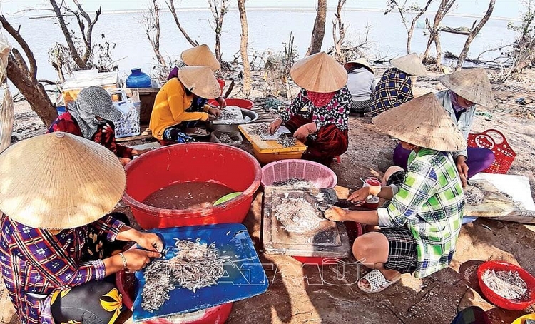 Nguồn thủy, hải sản ven bờ đang dần cạn kiệt