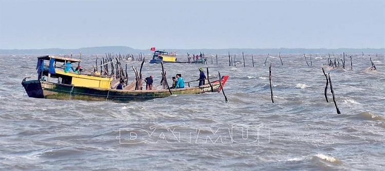 Nguồn thủy, hải sản ven bờ đang dần cạn kiệt
