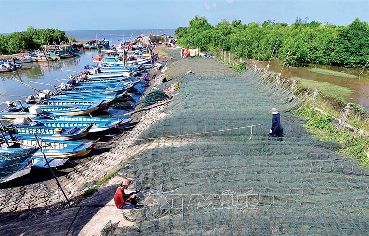 Nguồn thủy, hải sản ven bờ đang dần cạn kiệt