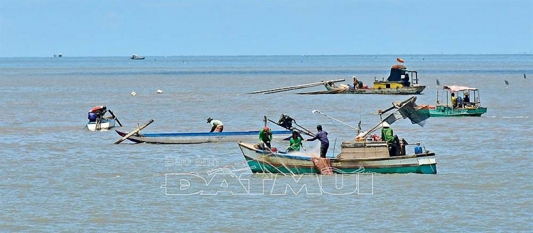 Nguồn thủy, hải sản ven bờ đang dần cạn kiệt