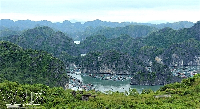 Khám phá làng chài cổ nhất Việt Nam