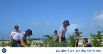 Trường Sa xanh giữa biển khơi