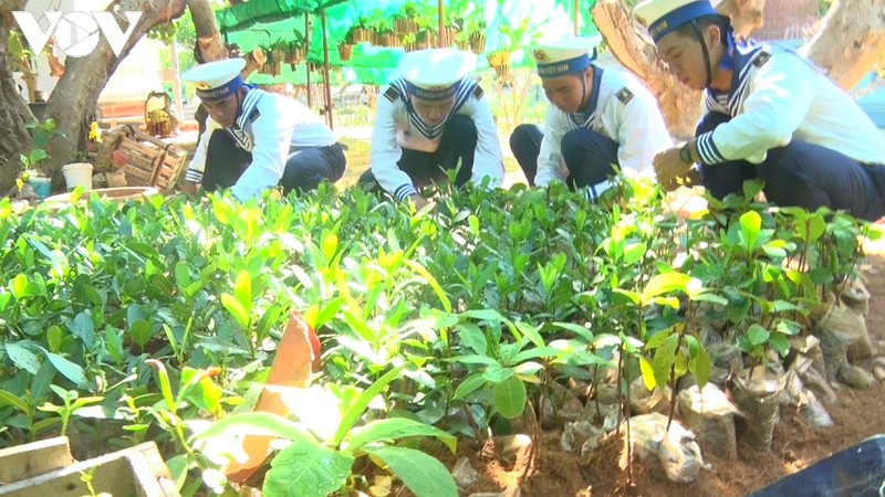 truong sa xanh giua bien khoi hinh 4