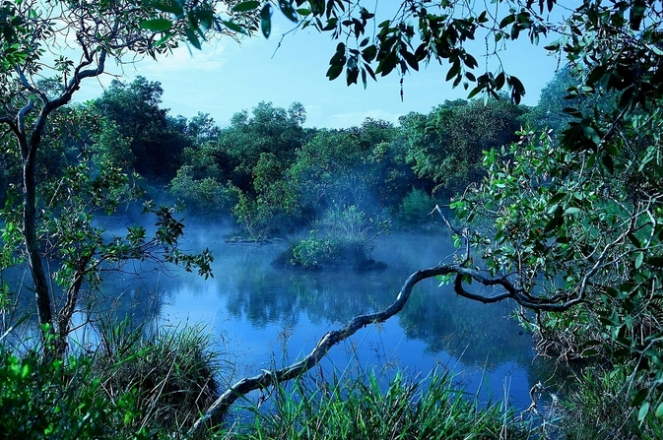 Vẻ đẹp hoang sơ đậm màu duyên hải ở Hồ Tràm Vẻ đẹp hoang sơ đậm màu duyên hải ở Hồ Tràm