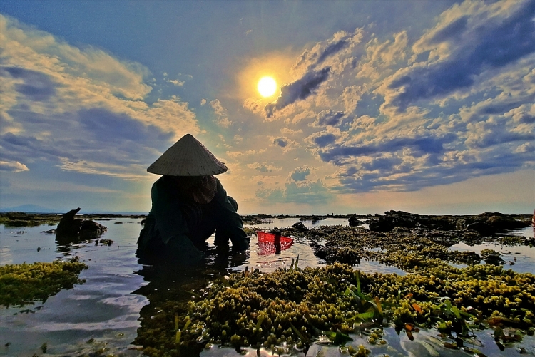 Nhọc nhằn nghề cào nghêu