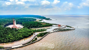 Cồn cát mới ở Mũi Cà Mau