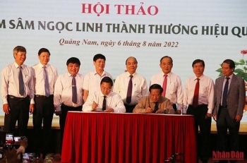 nang tam sam ngoc linh thanh thuong hieu quoc gia