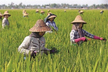 dong nam a truoc thach thuc an ninh luong thuc