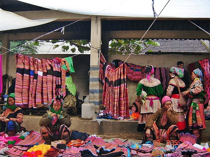 Cây lanh trong đời sống đồng bào dân tộc Mông Ở đâu có cây lanh, ở đó có người Mông