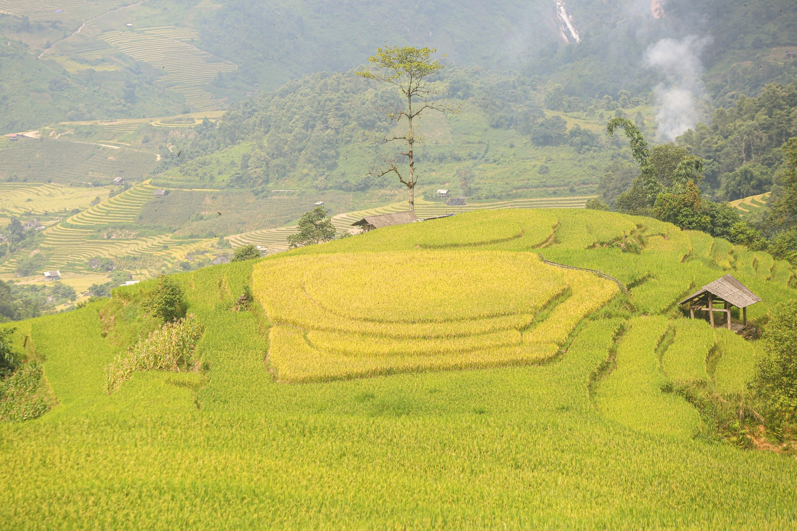 Đi săn mùa vàng ở Sa Pa - 3