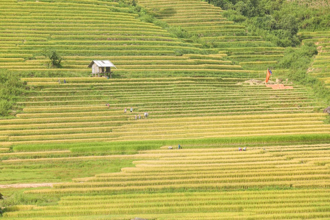 Đi săn mùa vàng ở Sa Pa - 5