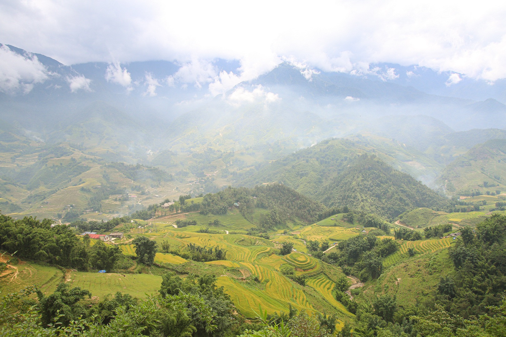 Đi săn mùa vàng ở Sa Pa - 16