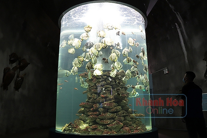 Nơi giữ ký ức biển