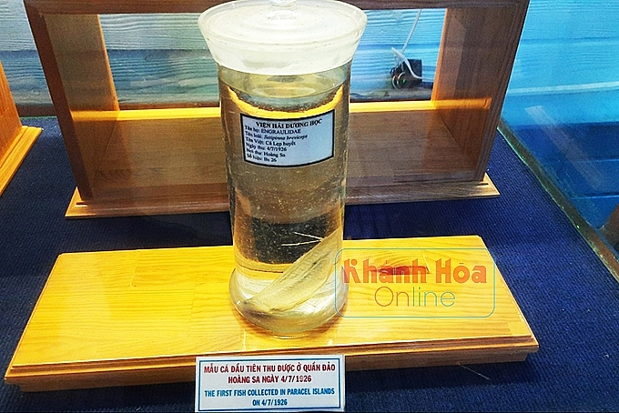 Nơi giữ ký ức biển