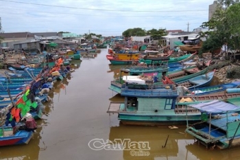 Cà Mau: Phát triển nghề cá  bền vững, có trách nhiệm