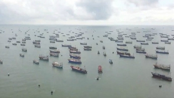 canh bao nguy co can kiet hai san do trung quoc xay dao nhan tao va danh bat qua muc