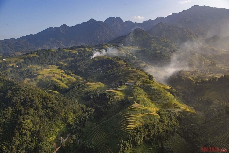 Mường Hoa mùa gặt Thơ mộng mùa lúa chín ở thung lũng Mường Hoa