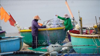 Triển khai cấp thẻ ngư dân 