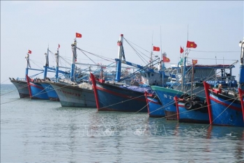Khắc phục "thẻ vàng" IUU: Xử phạt mạnh các đối tượng vi phạm