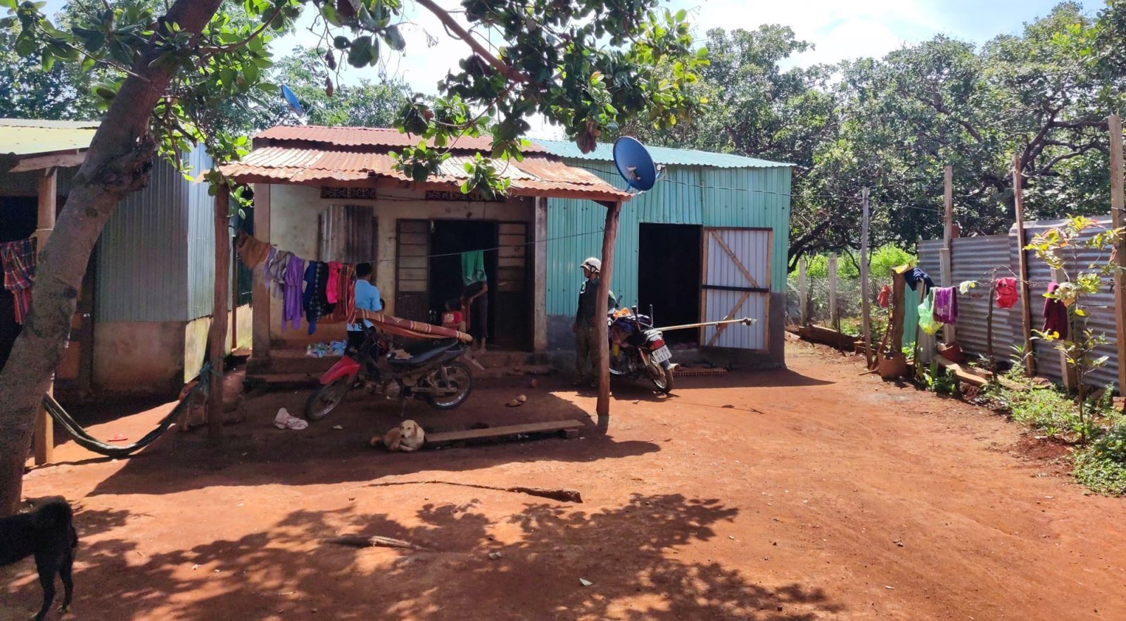 Tránh bẫy 