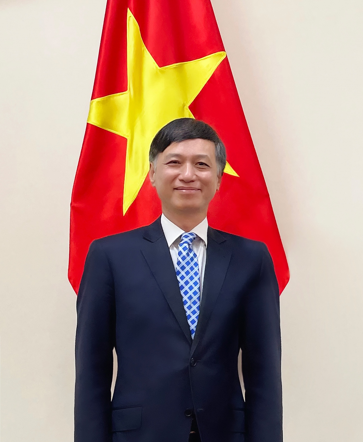 viet nam day manh Doi tac chien luoc voi australia hinh anh 1