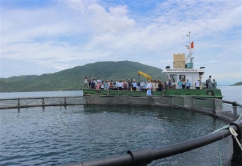 Năm tỉnh ven biển sẽ thí điểm thiết lập một số điểm du lịch cộng đồng nghề cá