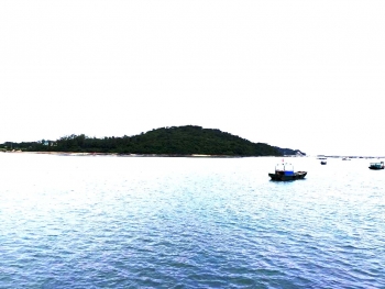 co to tuoi dep giua trung khoi to quoc