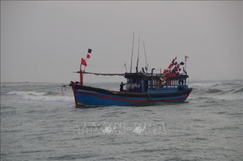 Ba tàu cá Quảng Ngãi gặp nạn, trôi dạt trên biển