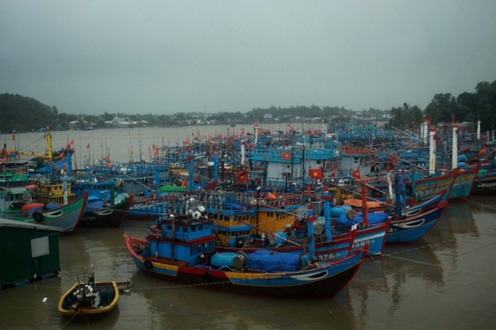 Có 3 tàu cá của tỉnh Quảng Ngãi gặp nạn, trôi dạt trên biển. Hiện tàu đang thả trôi tự do, vị trí tàu cách bờ khoảng 8 hải lý, hướng biển xã Bình Hải, huyện Bình Sơn.