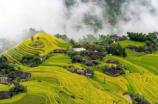 Mùa Thu vàng ở Bản Phùng