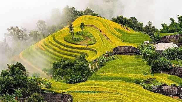 Mùa Thu vàng ở Bản Phùng