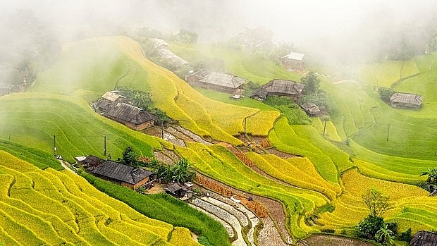 Mùa Thu vàng ở Bản Phùng