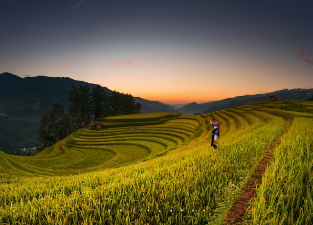 Sửng sốt dải ngân hà đẹp như phim ở Mù Cang Chải - 1 Sửng sốt dải ngân hà đẹp như phim ở Mù Cang Chải - 1
