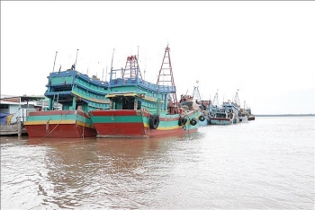 ben tre kien quyet phat chu tau ca khong lap dat giam sat hanh trinh