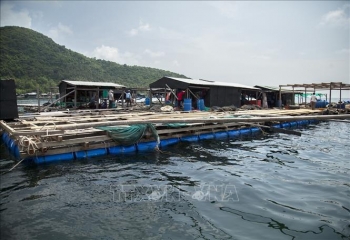 Phát triển đồng bộ hệ thống cơ sở hạ tầng phục vụ nuôi biển