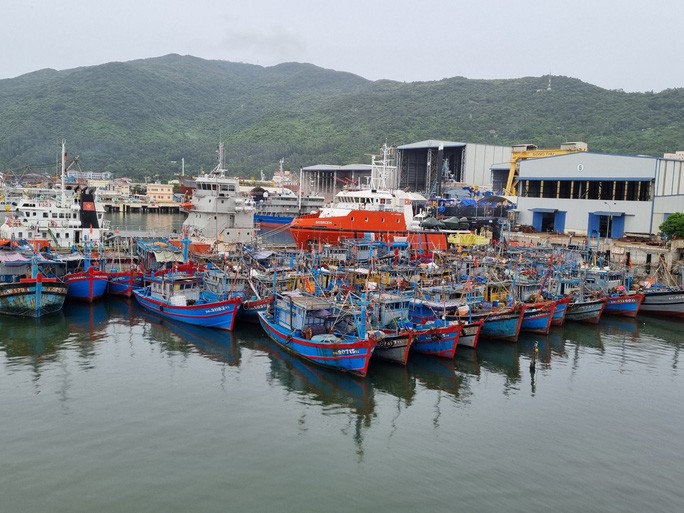 Đà Nẵng nghiêm cấm tàu thuyền ra khơi để tránh ảnh hưởng của áp thấp nhiệt đới