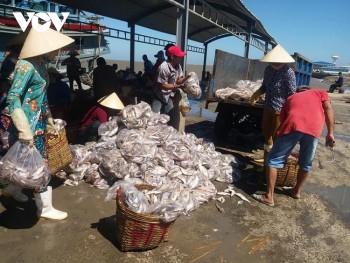 Bến Tre: Kiên quyết xử lý tàu cá vi phạm khai thác IUU