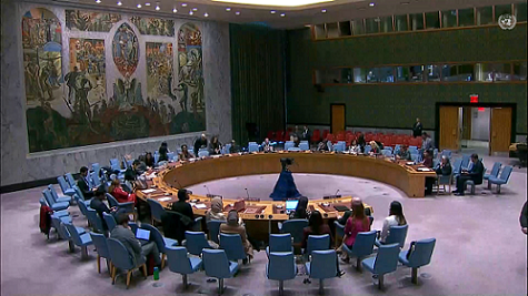 Việt Nam tiếp tục khẳng định lập trường nhất quán về vấn đề Palestine